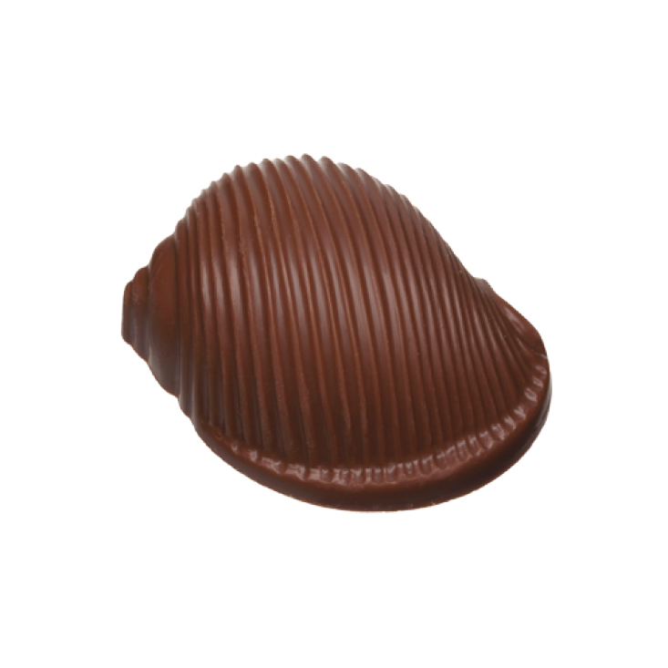 Mini Escargot Chocolat au lait 4,93Oz – AmuseBoucheShop